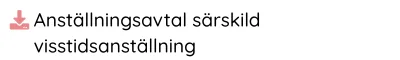 Anställningsavtal särskild visstidsanställning